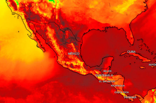 Las Olas de Calor en México: Un Desafío Climático Creciente
