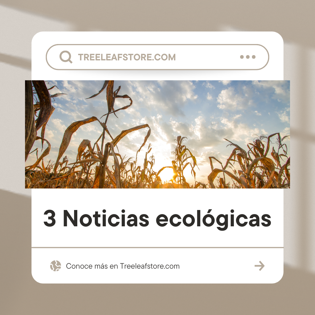 Noticias ecológicas en México, Argentina y Vogue
